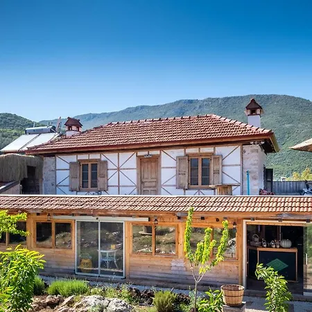 3 * Kaş