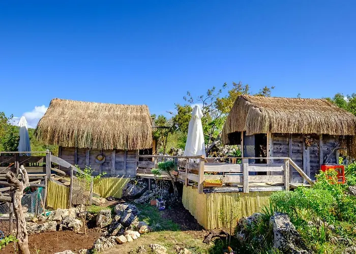 3 ゲストハウス カシュ